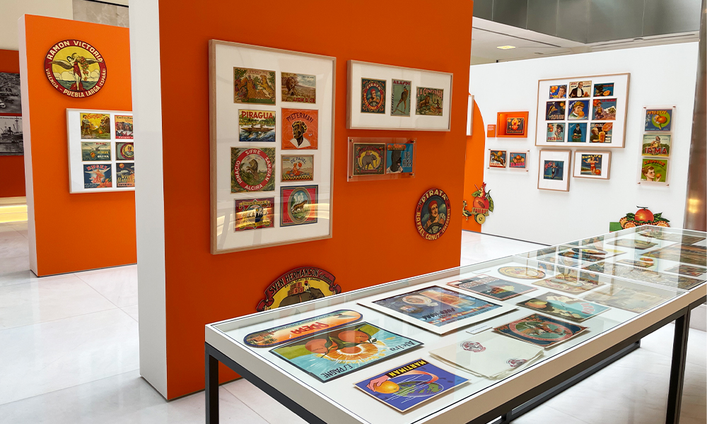 Expo naranjas